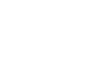 LOGO GADI white
